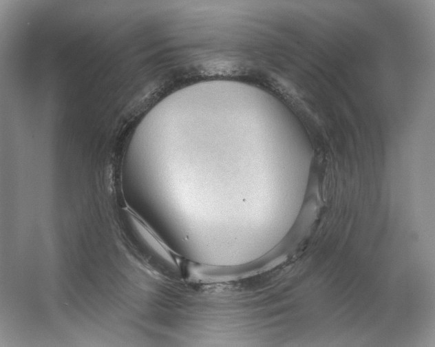 X0000066120211200603311544