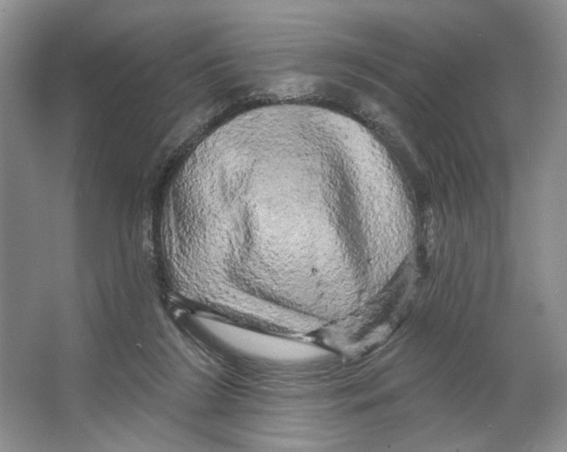 X0000066120212200603311544