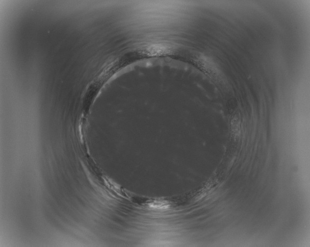 X0000066120214200603311544