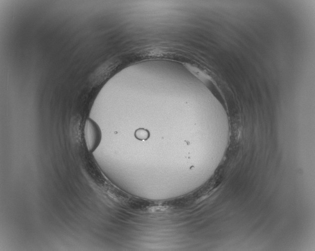 X0000066120216200603311544