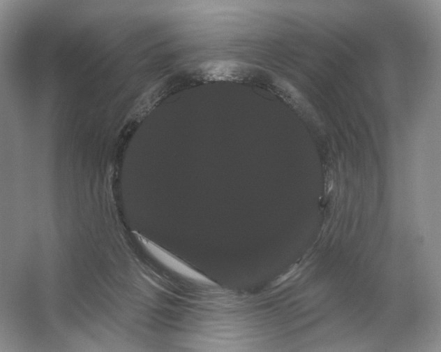 X0000066120217200603311544