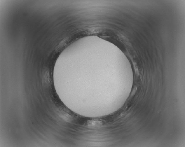 X0000066120220200603311544