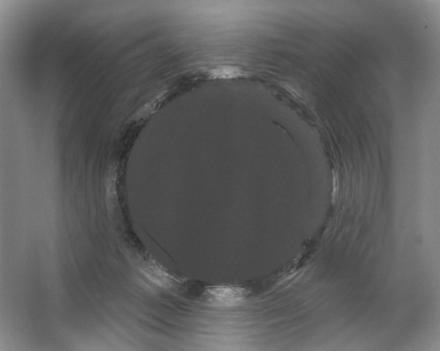 X0000066120221200603311544