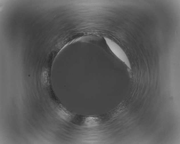 X0000066120222200603311544