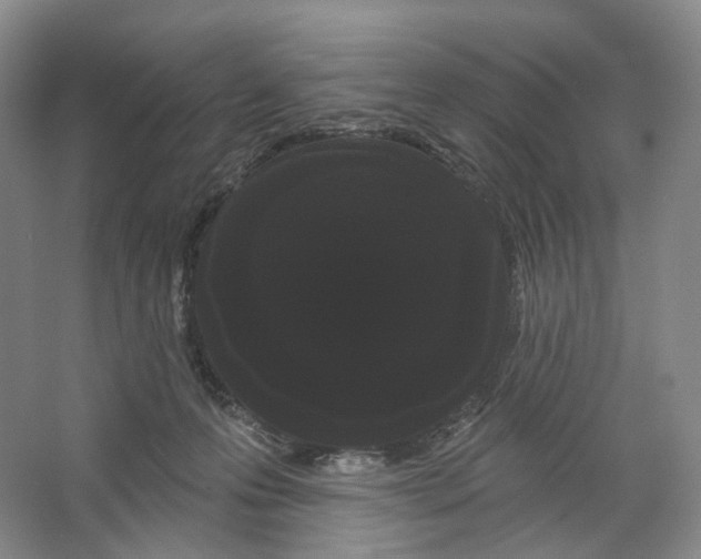 X0000066120223200603311544