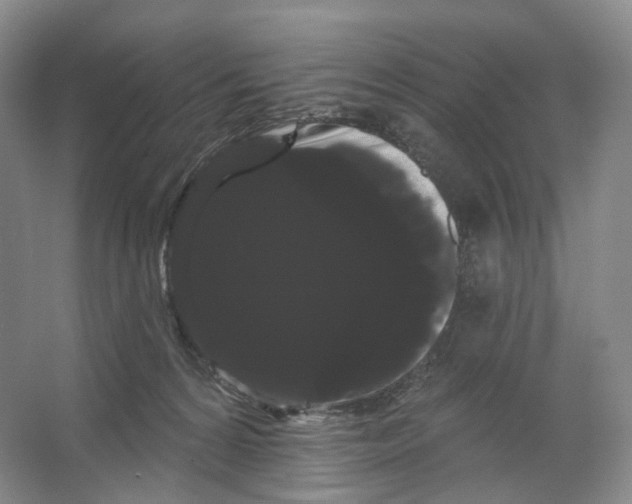 X0000066120224200603311544