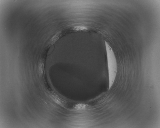 X0000066120227200603311544