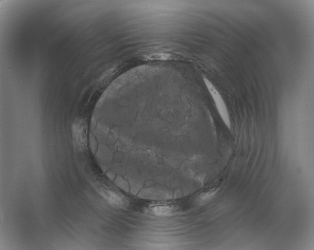 X0000066120228200603311544