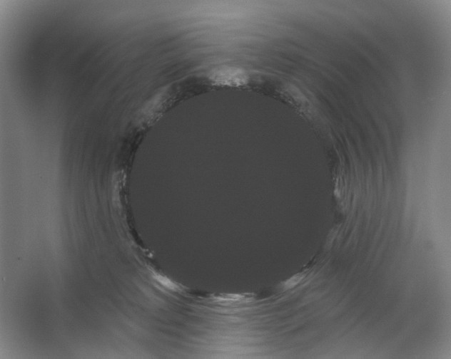 X0000066120229200603311544