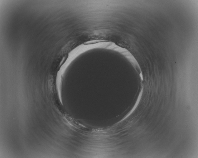 X0000066120231200603311544