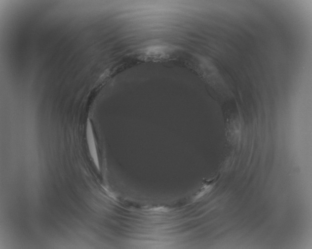 X0000066120232200603311544