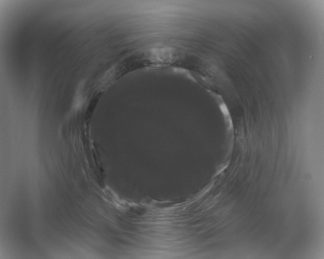 X0000066120233200603311544