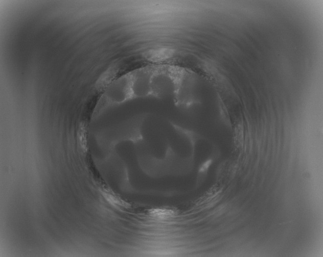 X0000066120234200603311544