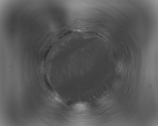 X0000066120236200603311544