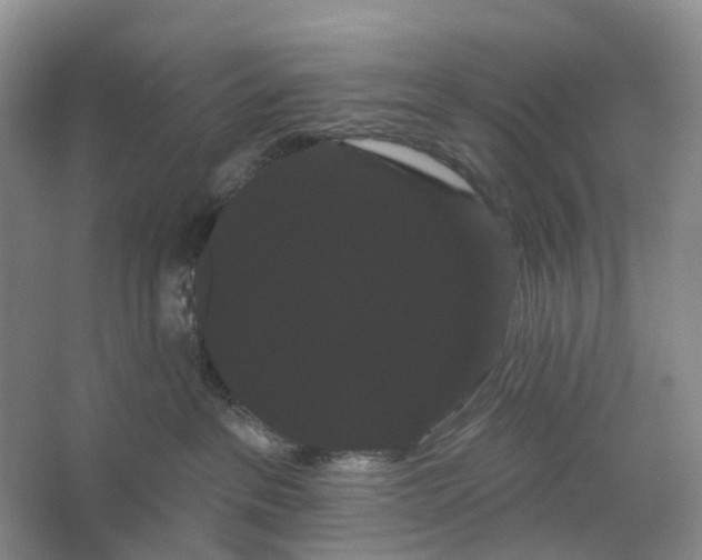 X0000066120237200603311544