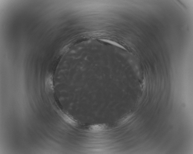 X0000066120238200603311544