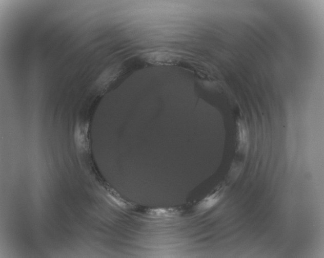 X0000066120239200603311544