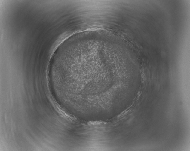 X0000066120242200603311543