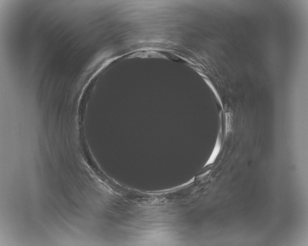 X0000066120243200603311543