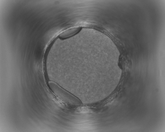 X0000066120244200603311543