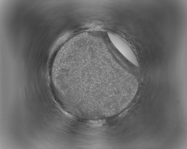 X0000066120245200603311543