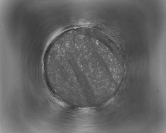 X0000066120246200603311543