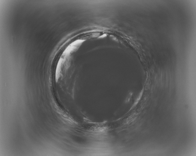 X0000066120247200603311543