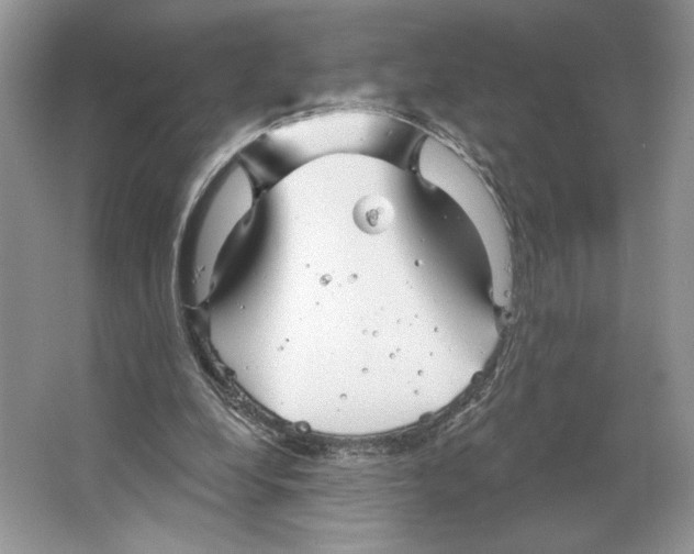 X0000066120248200603311543