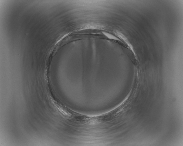 X0000066120249200603311543