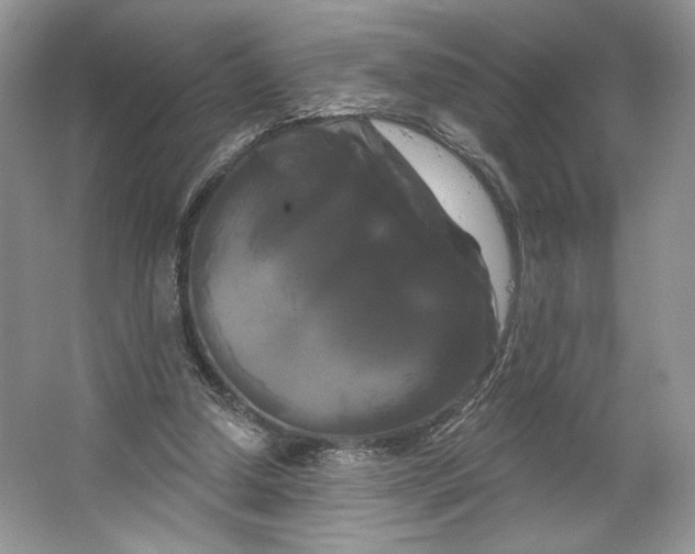 X0000066120250200603311543