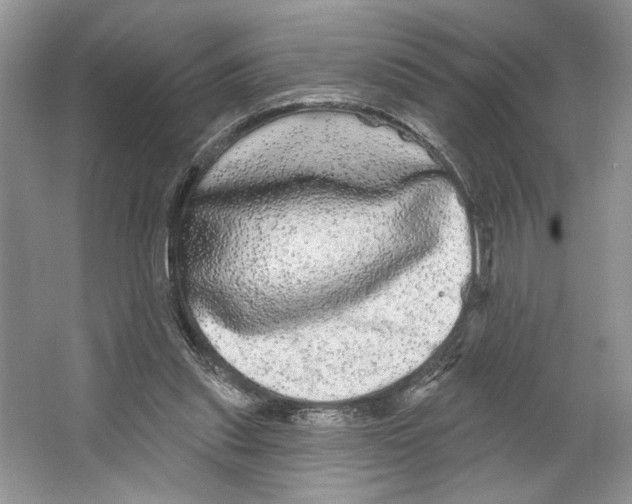 X0000066120253200603311543