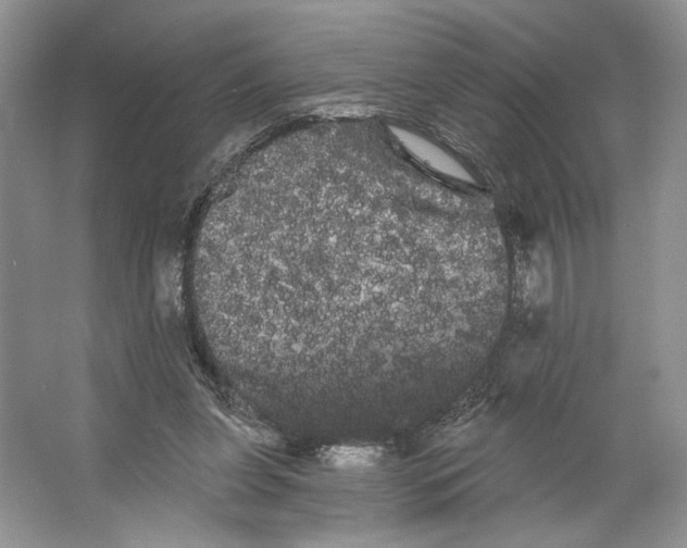 X0000066120255200603311543