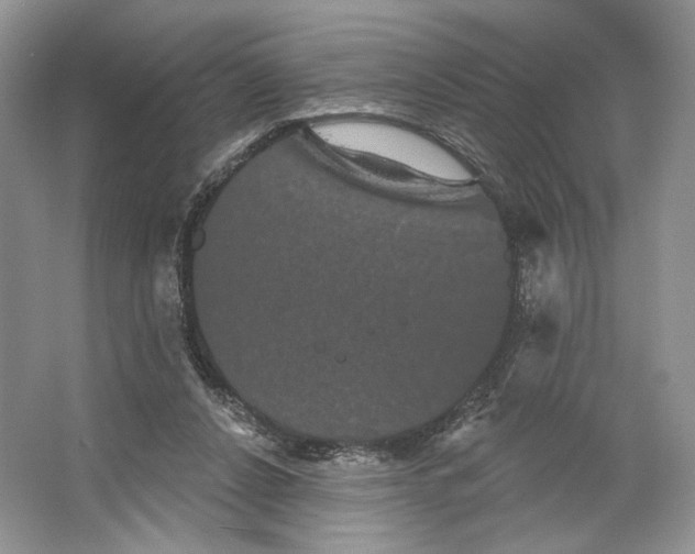 X0000066120256200603311543