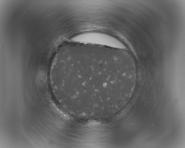 X0000066120257200603311543