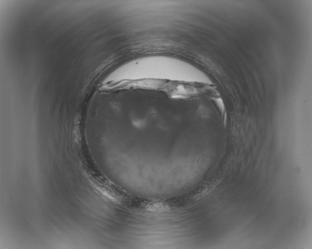 X0000066120258200603311543