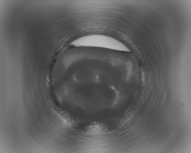 X0000066120259200603311543