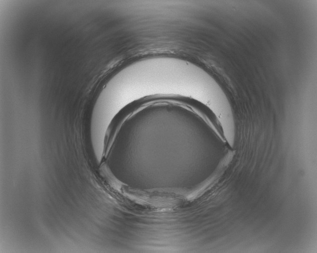 X0000066120260200603311543