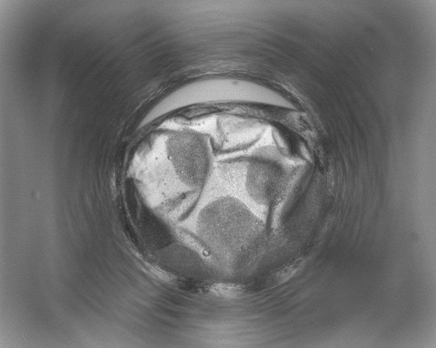 X0000066120261200603311543