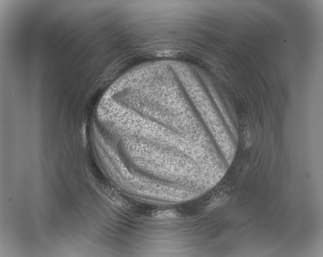 X0000066120262200603311543