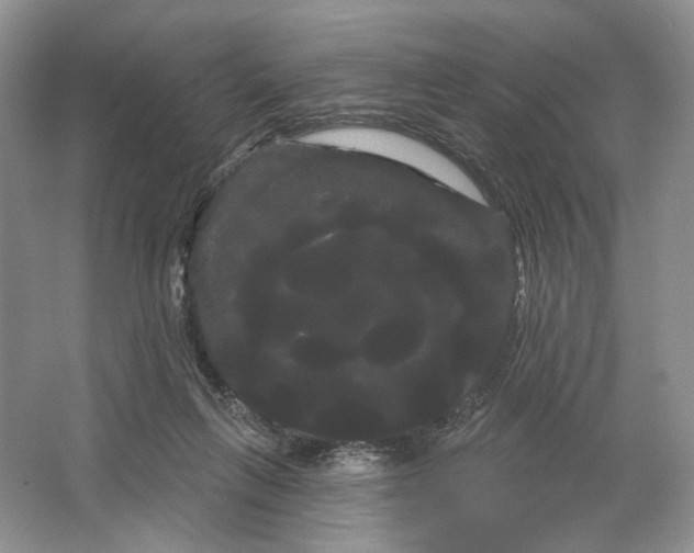 X0000066120263200603311543