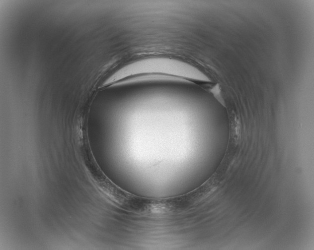 X0000066120264200603311543