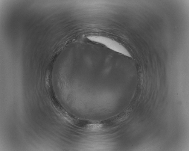 X0000066120266200603311543