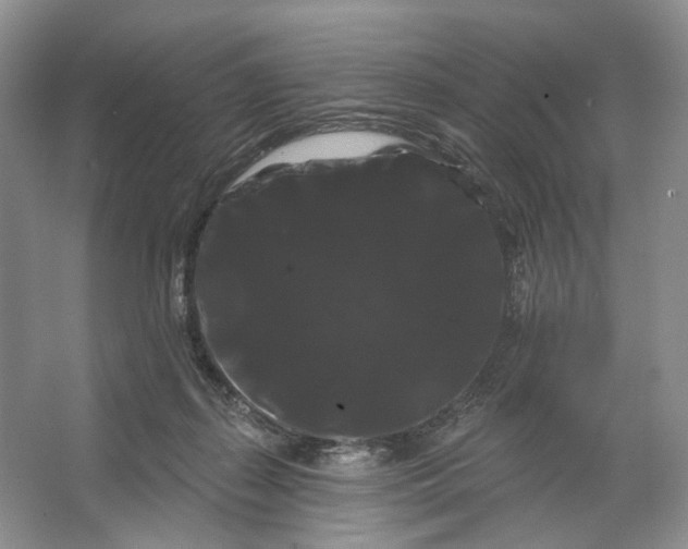 X0000066120267200603311543