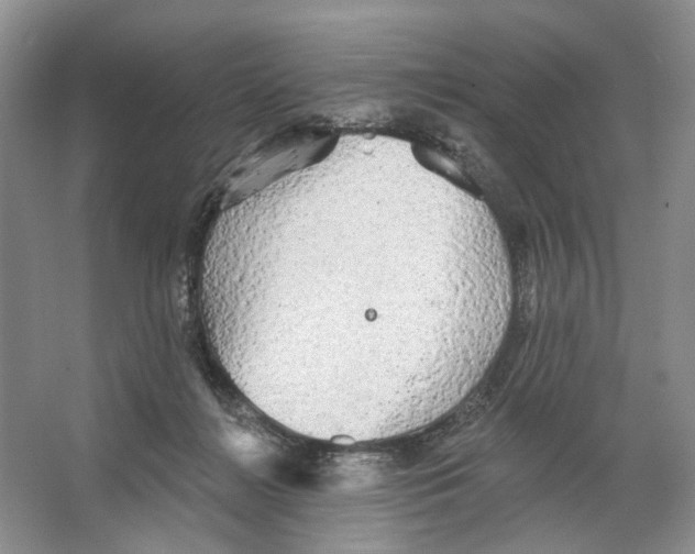 X0000066120268200603311543