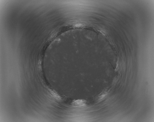 X0000066120269200603311543