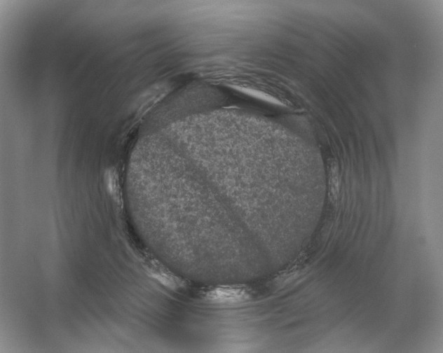 X0000066120270200603311543