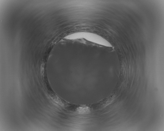 X0000066120271200603311543