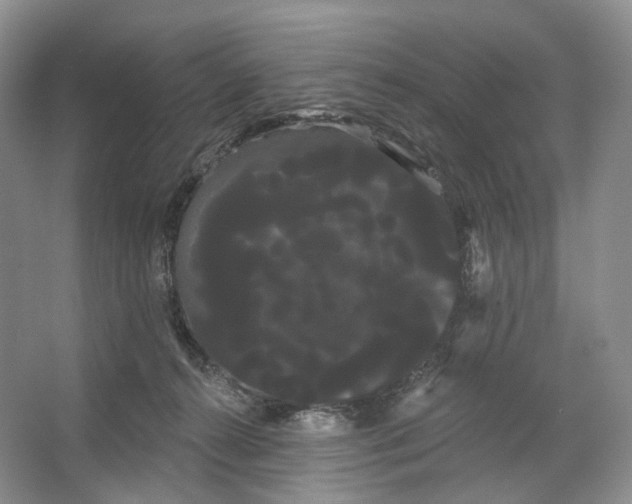 X0000066120272200603311543