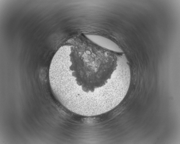 X0000066120273200603311543