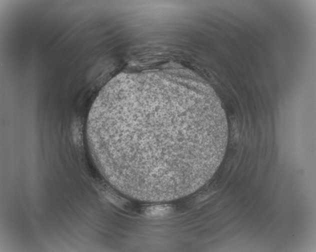 X0000066120274200603311543